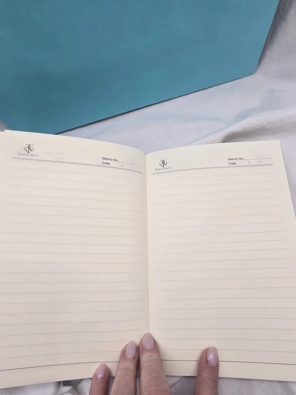 Tiffany & Co. Notebook Pen Aroma Stone Accessories Set - Signature Tiffany Blue